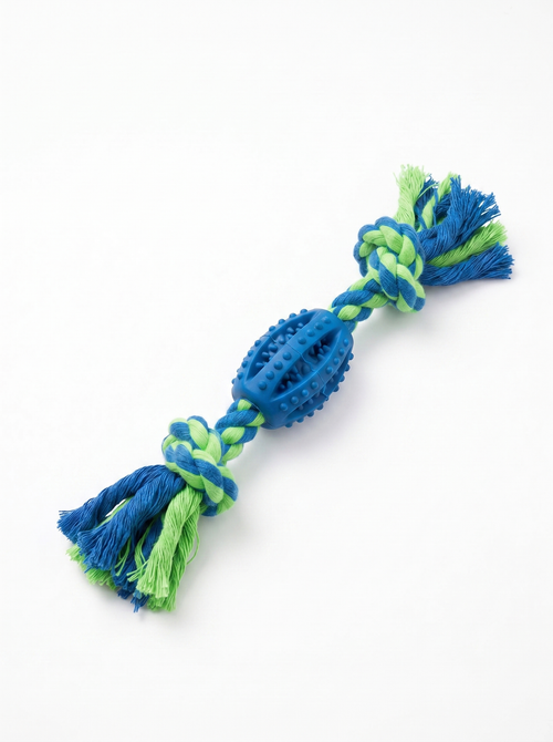 INTERACTIVE & ENRICHMENT TOYS
